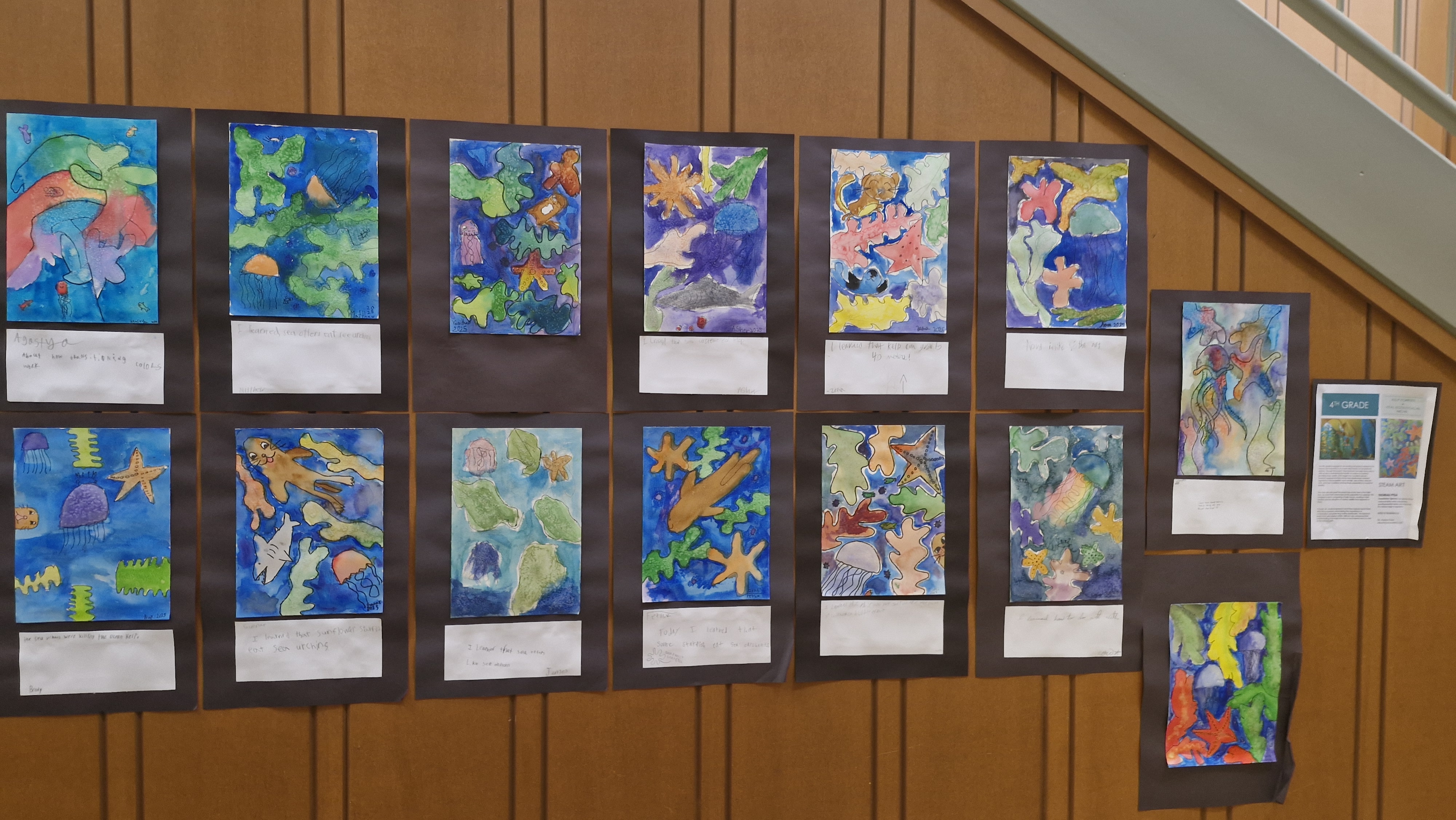 Student art exhibition wall — starfish and ocean themed artwork